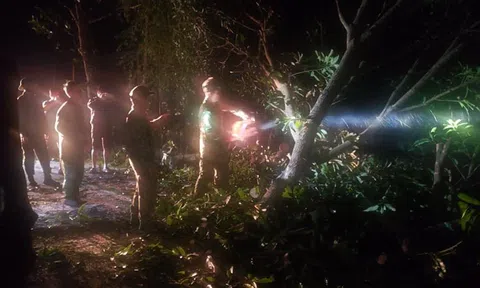 Sạt lở vùi lấp hơn 50 người Quảng Nam: Xuyên đêm tiếp cận hiện trường